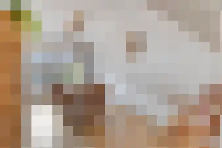 Boesemsingel 55 Bodegraven thumbnail 9