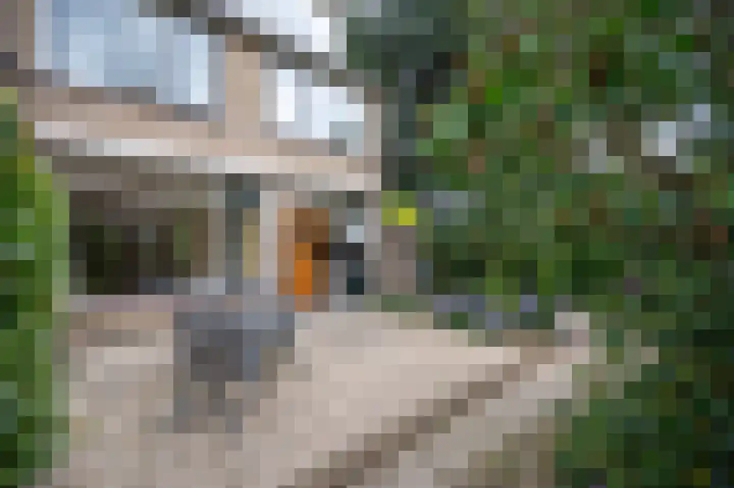 Boesemsingel 69 Bodegraven thumbnail 12