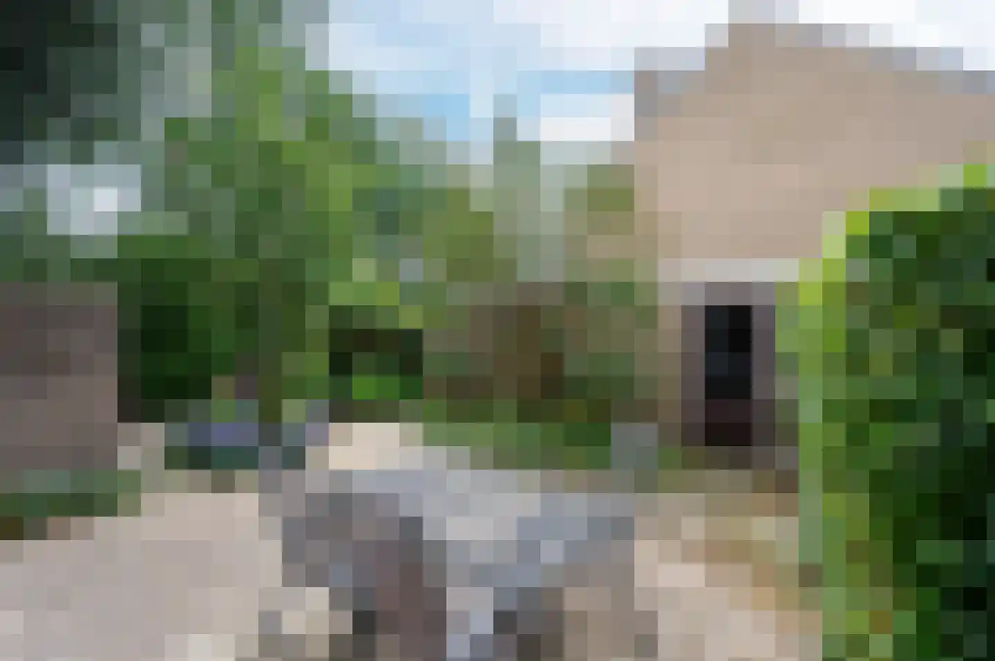 Boesemsingel 69 Bodegraven thumbnail 13