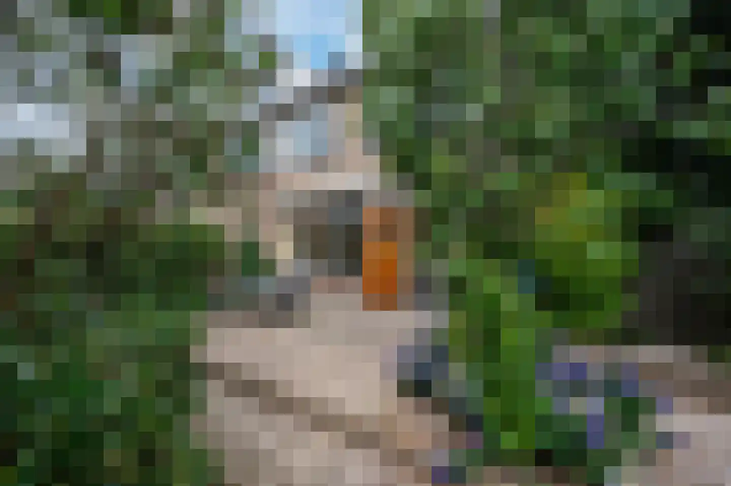 Boesemsingel 69 Bodegraven thumbnail 14