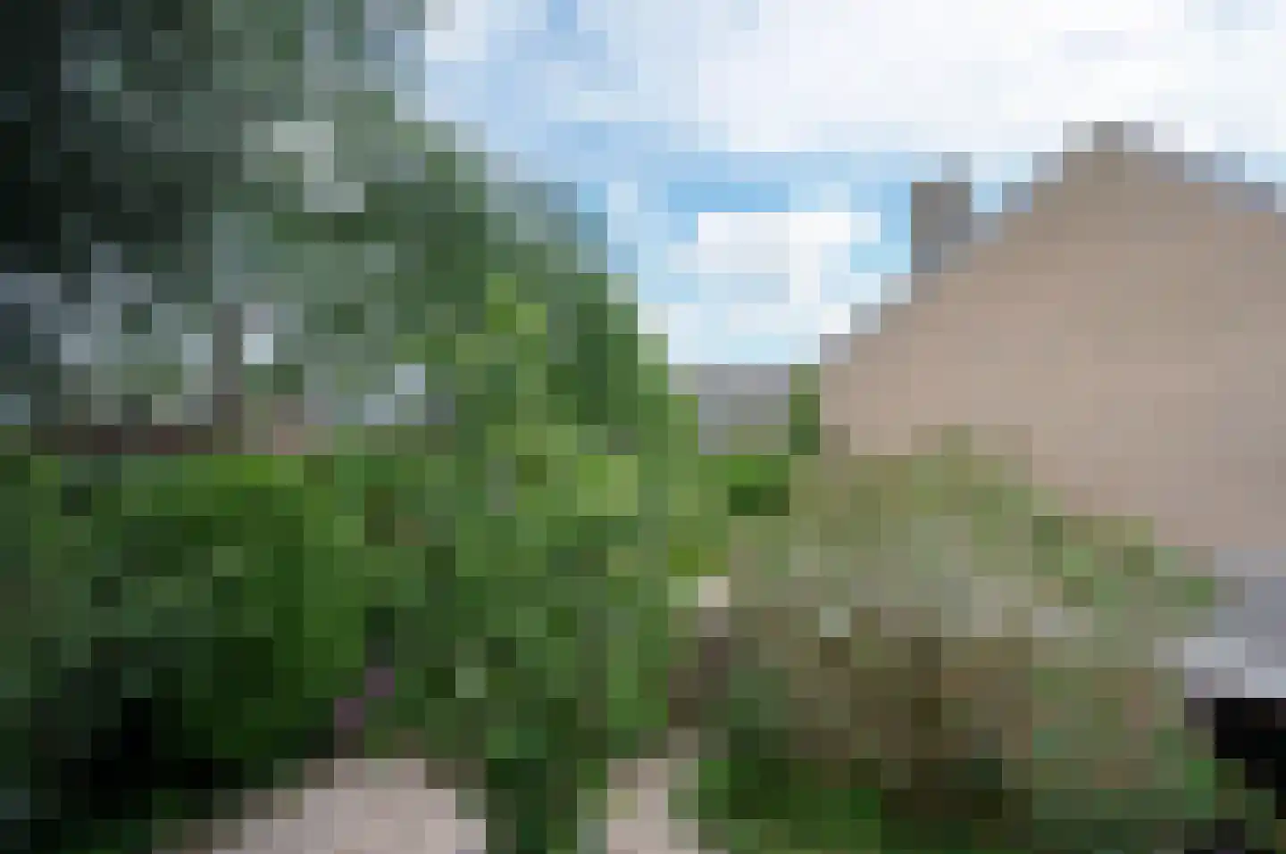 Boesemsingel 69 Bodegraven thumbnail 24