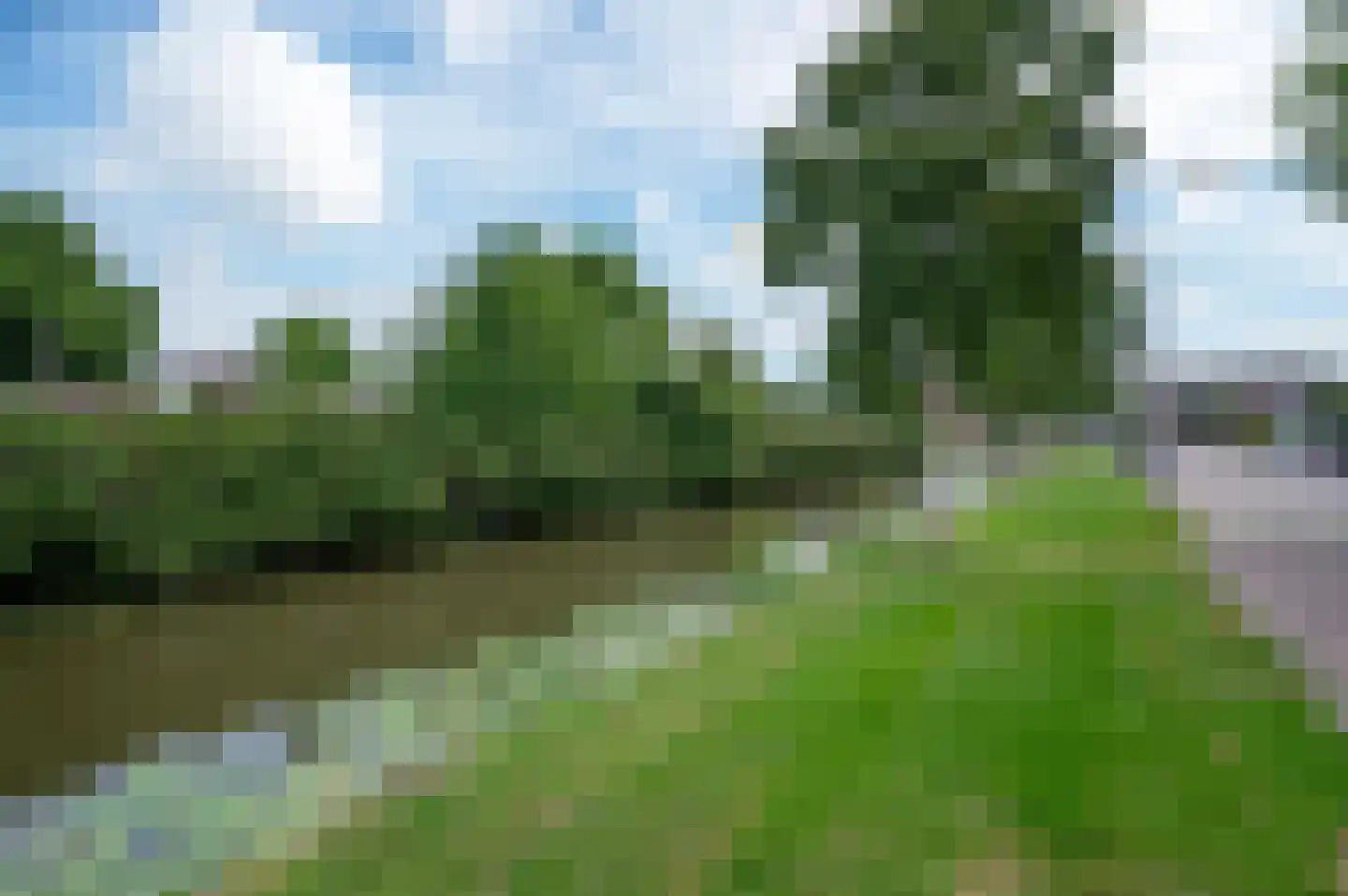 Boesemsingel 69 Bodegraven thumbnail 32