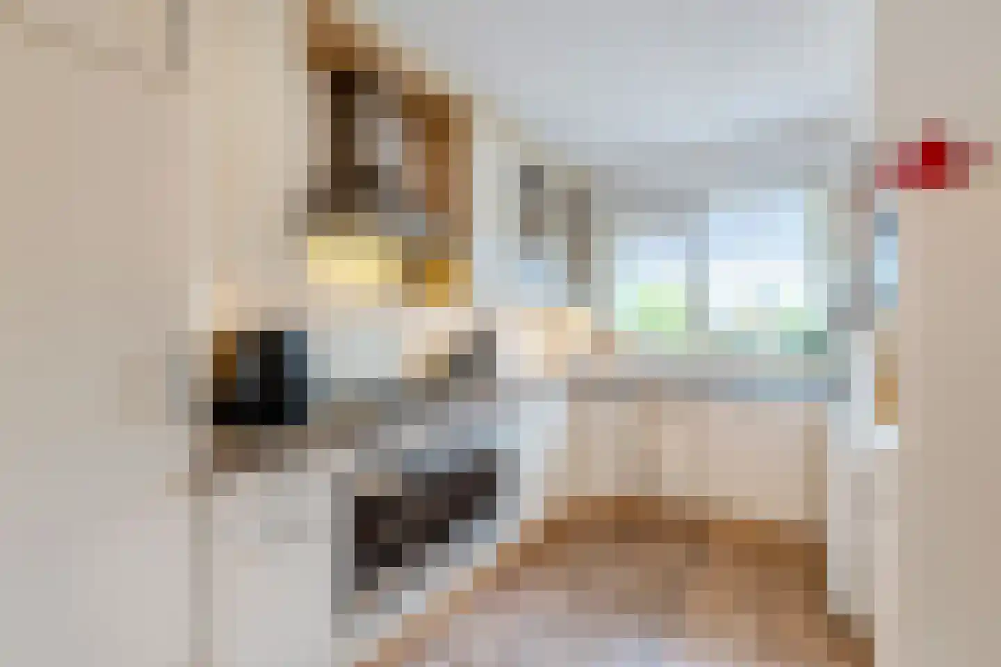 Boesemsingel 85 Bodegraven thumbnail 23