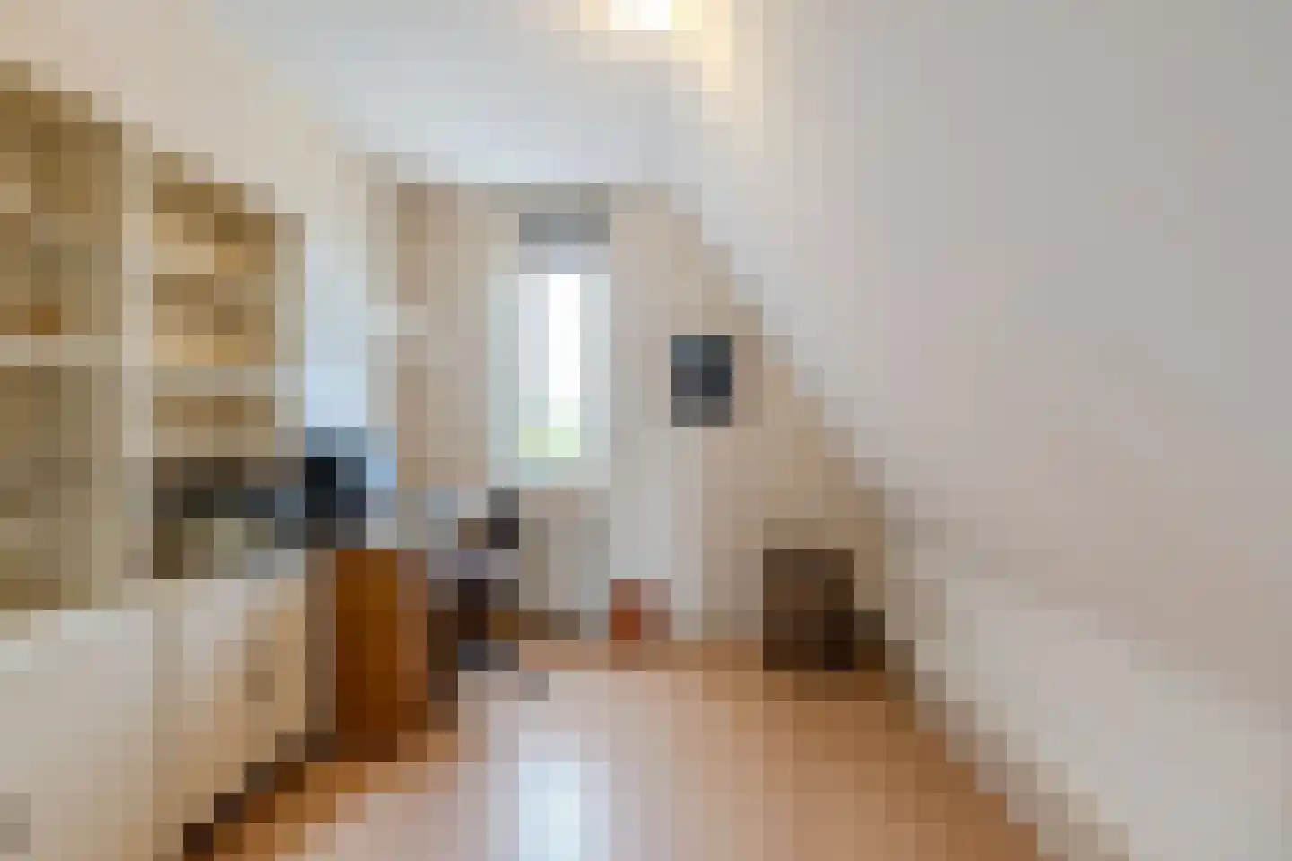Boesemsingel 85 Bodegraven thumbnail 38