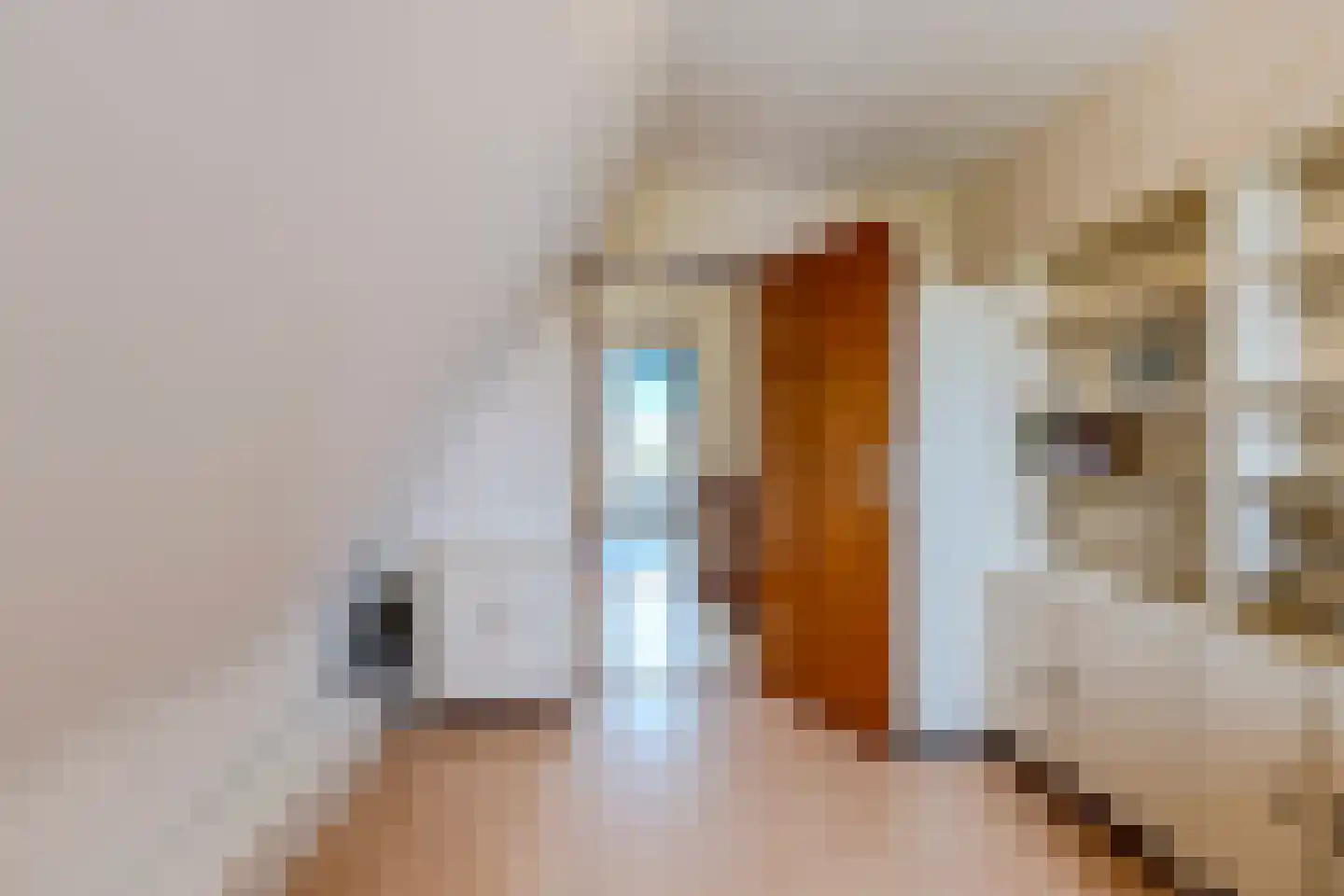 Boesemsingel 85 Bodegraven thumbnail 39