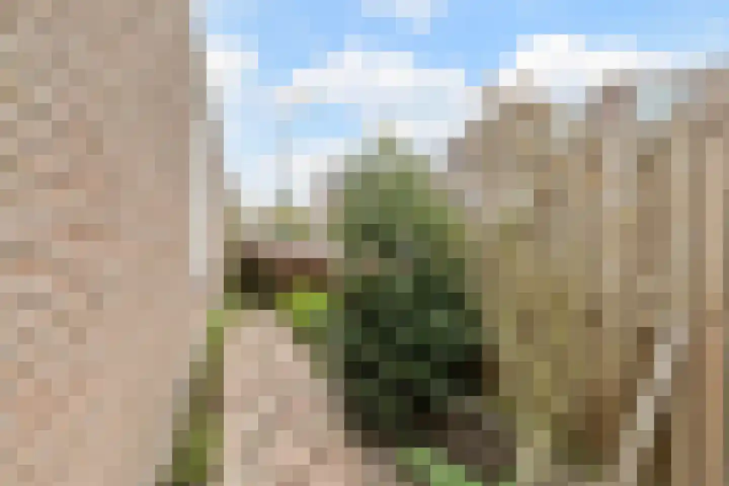 Boesemsingel 85 Bodegraven thumbnail 43