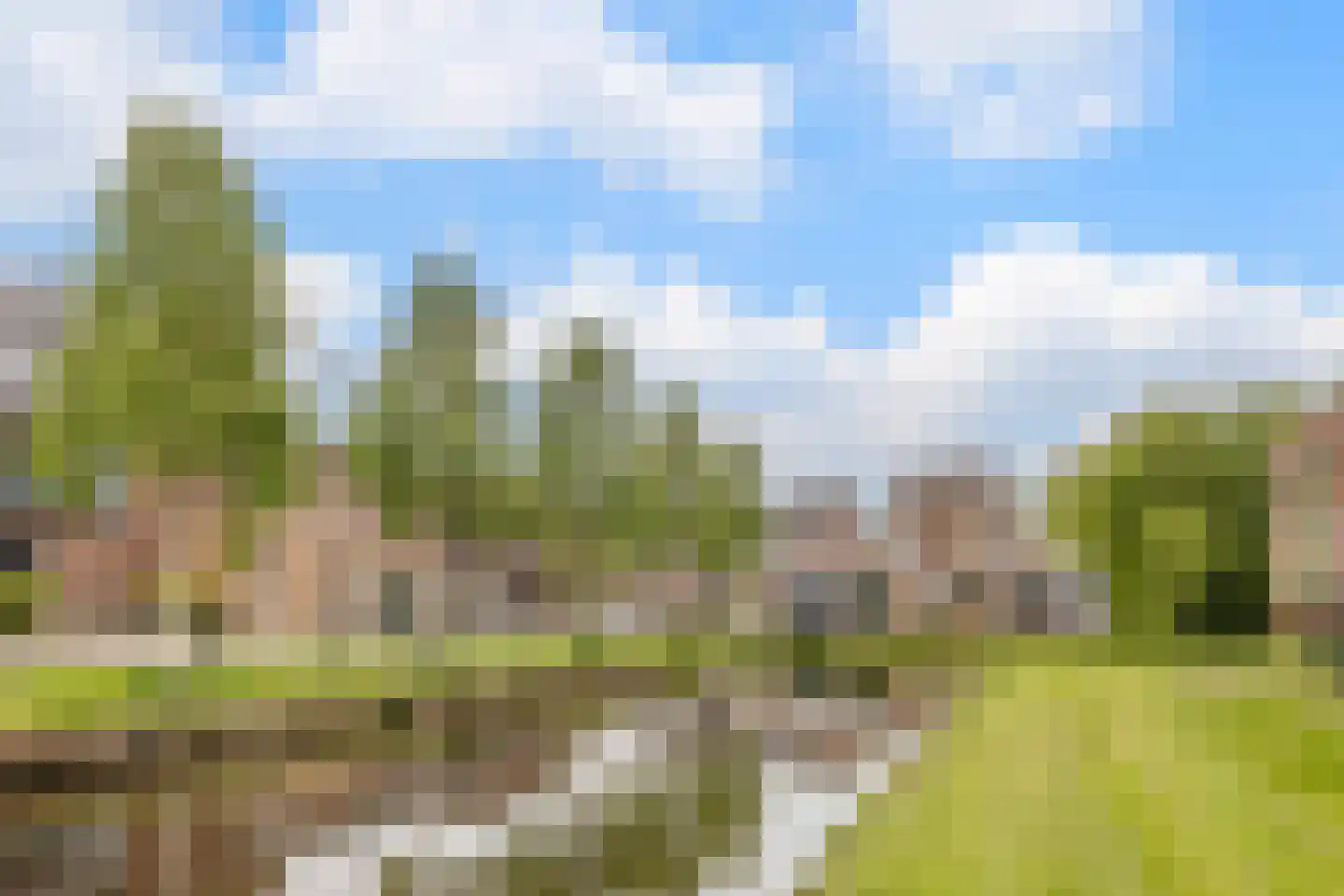 Boesemsingel 85 Bodegraven thumbnail 50