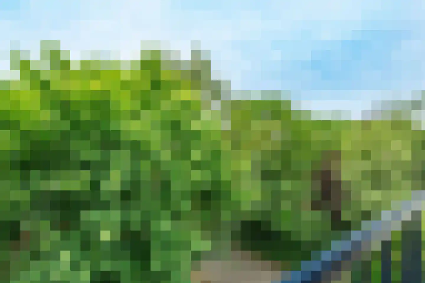 Boeslaan 49 II Wageningen thumbnail 24