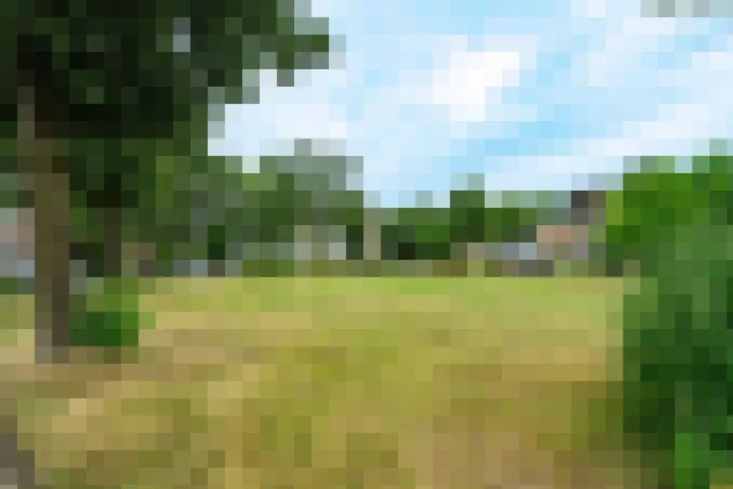 Boeslaan 49 II Wageningen thumbnail 26