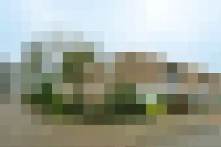 Boeslaan 51 Wageningen foto 2