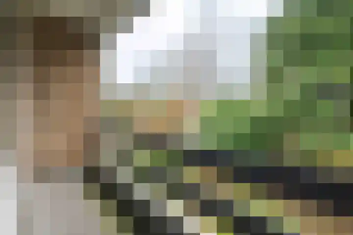 Boeslaan 51 Wageningen thumbnail 29