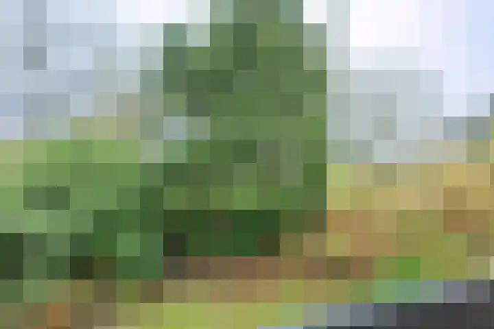 Boeslaan 51 Wageningen thumbnail 30