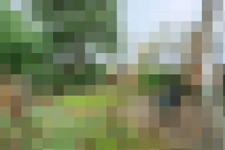 Boeslaan 51 Wageningen thumbnail 31