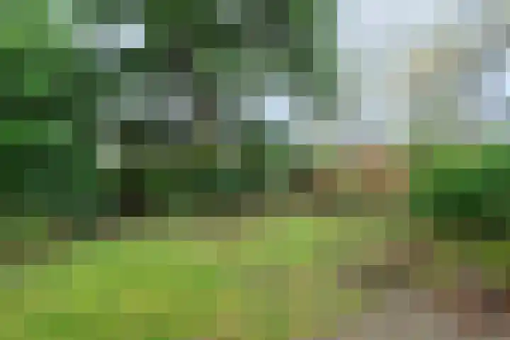 Boeslaan 51 Wageningen thumbnail 32