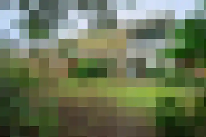 Boeslaan 51 Wageningen thumbnail 33