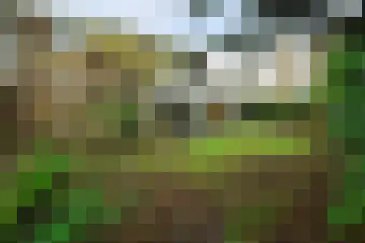 Boeslaan 51 Wageningen thumbnail 34