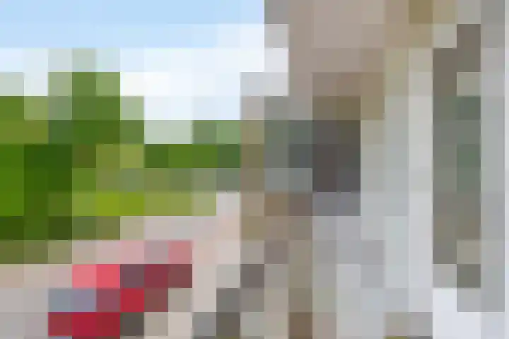 Boeslaan 55 Wageningen thumbnail 20