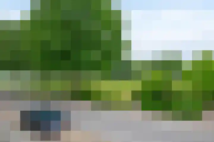 Boeslaan 55 Wageningen thumbnail 22