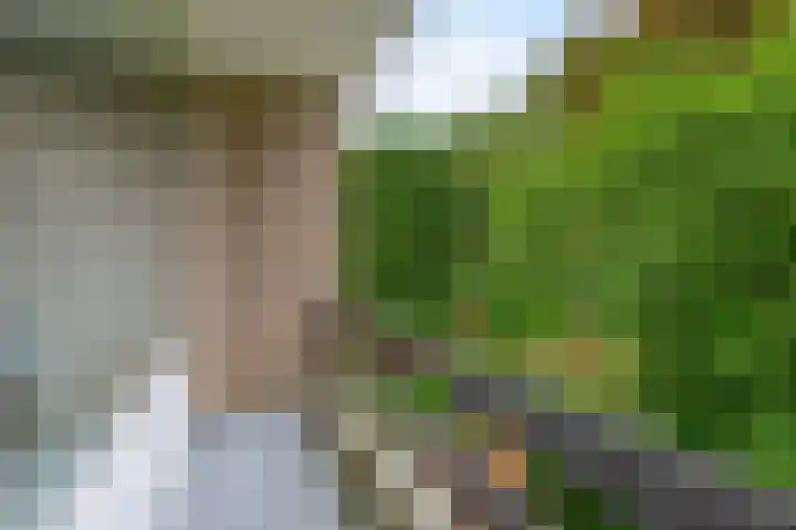 Boeslaan 55 Wageningen thumbnail 28