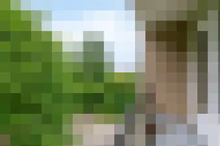 Boeslaan 55 Wageningen thumbnail 29