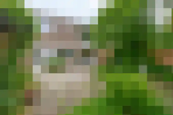 Boeslaan 55 Wageningen thumbnail 35