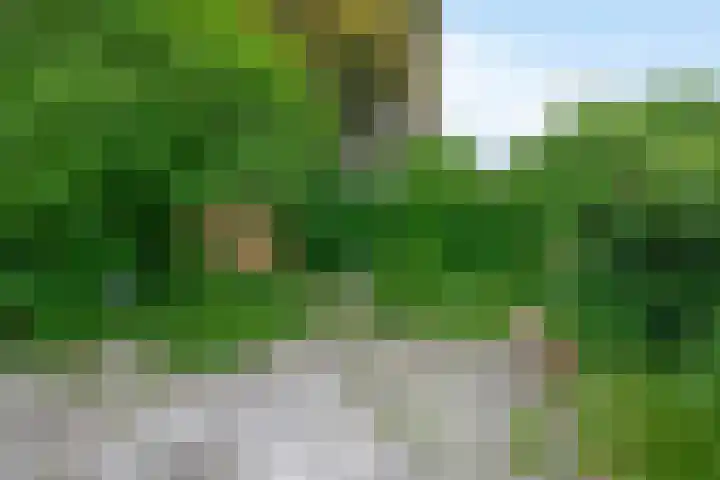 Boeslaan 55 Wageningen thumbnail 39