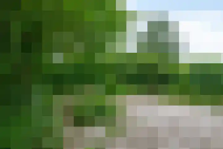 Boeslaan 55 Wageningen thumbnail 40