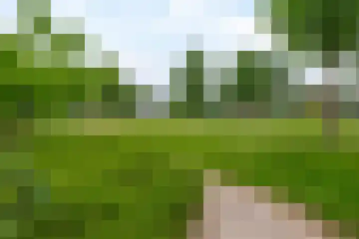 Boeslaan 55 Wageningen thumbnail 41