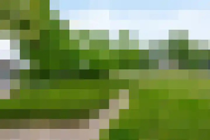 Boeslaan 55 Wageningen thumbnail 42