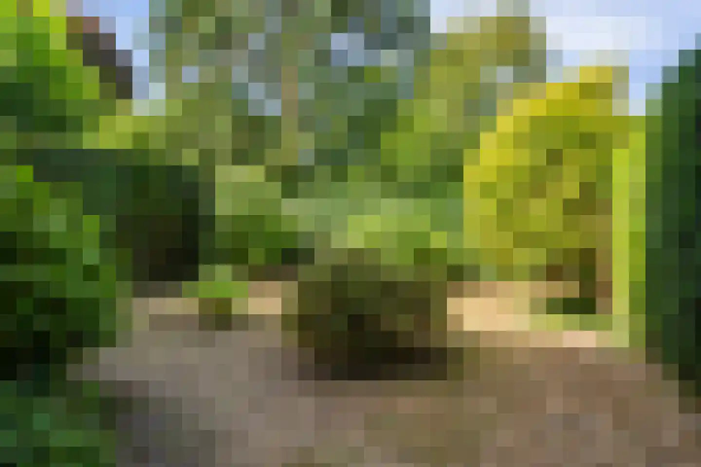 Boeslaan 59 Wageningen thumbnail 35