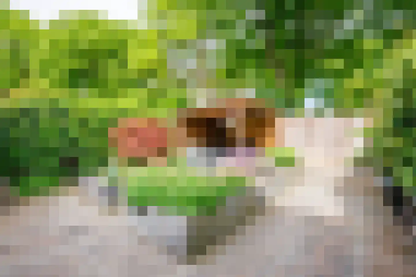 Boesmate 13 Doetinchem thumbnail 16
