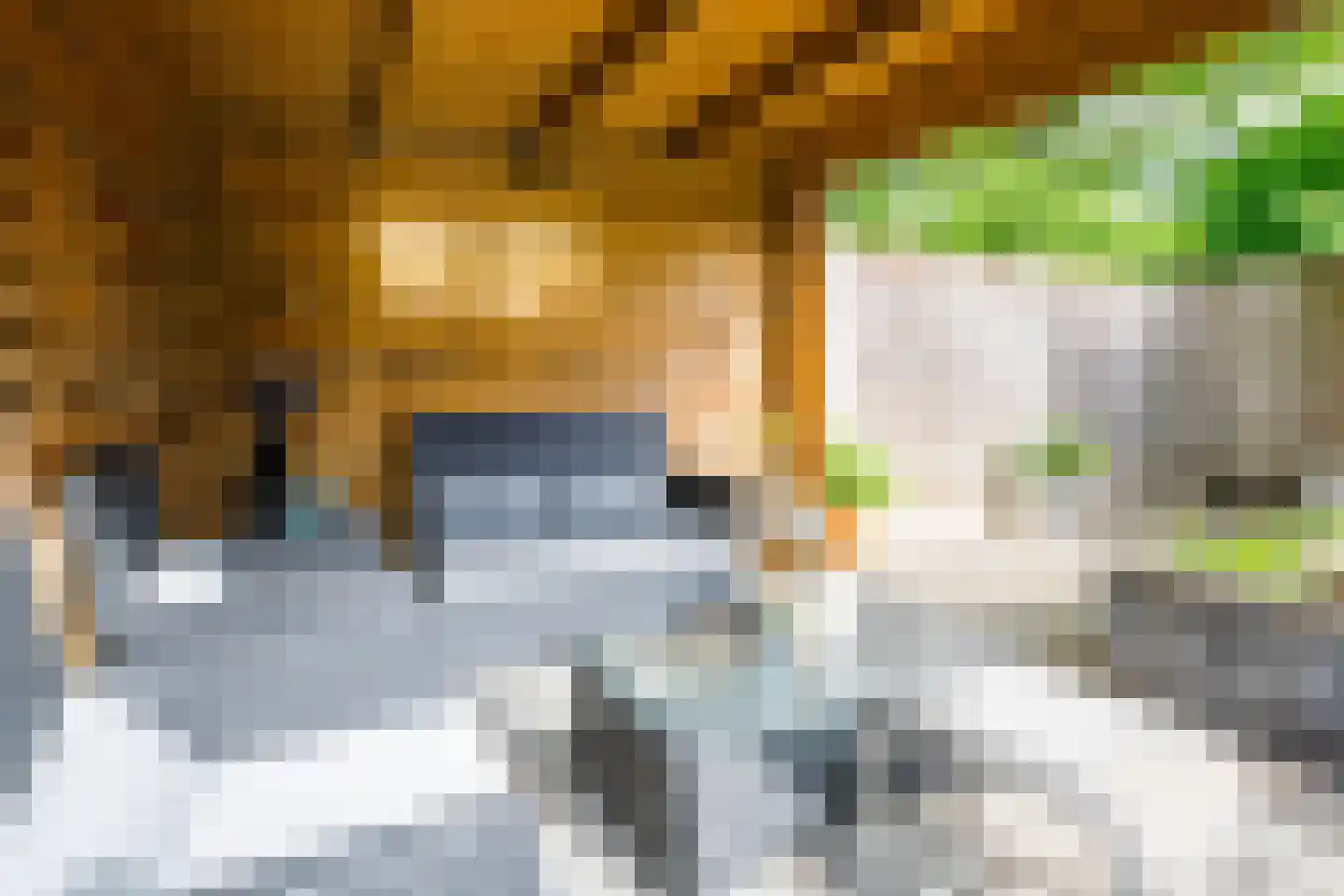 Boesmate 13 Doetinchem thumbnail 17