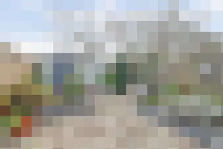 Boesmate 31 Doetinchem thumbnail 44