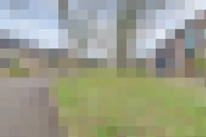Boesmate 31 Doetinchem thumbnail 53