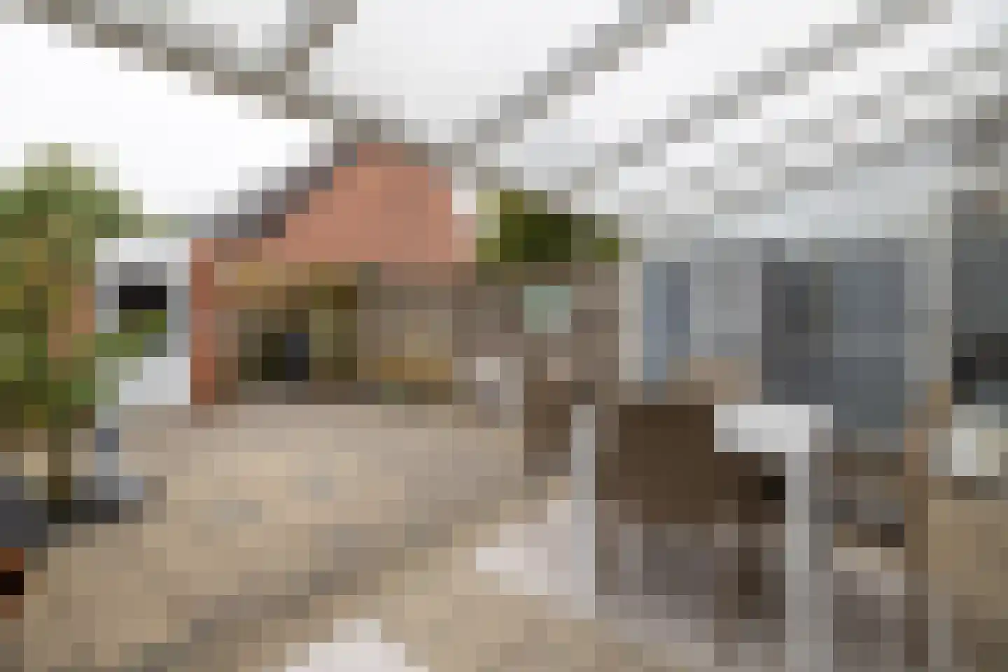 Boesmate 38 Doetinchem thumbnail 18