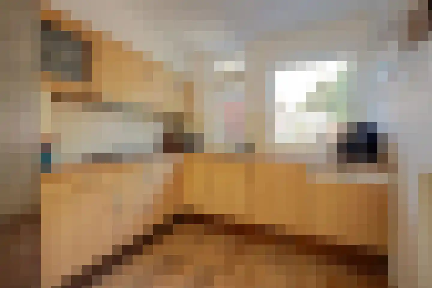 Boesmate 4 Doetinchem thumbnail 14