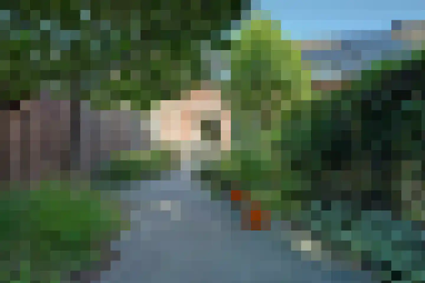 Boesmate 4 Doetinchem thumbnail 34