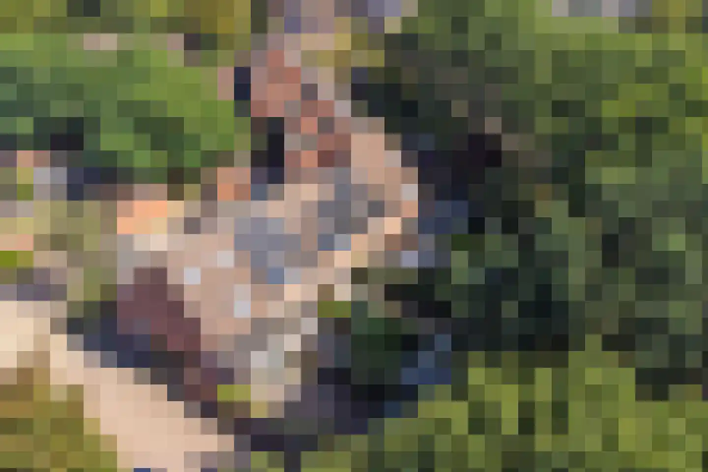 Boesmate 4 Doetinchem thumbnail 44
