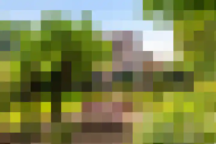 Boesmate 41 Doetinchem thumbnail 25