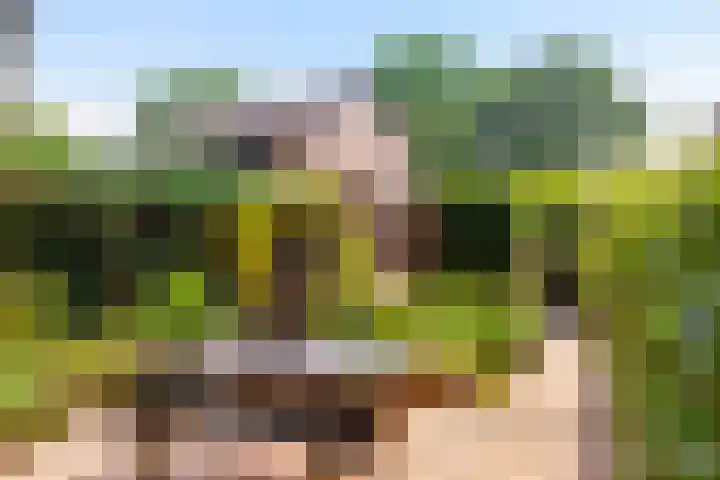 Boesmate 41 Doetinchem thumbnail 26