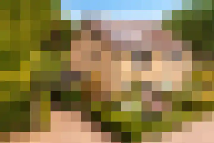 Boesmate 41 Doetinchem thumbnail 36