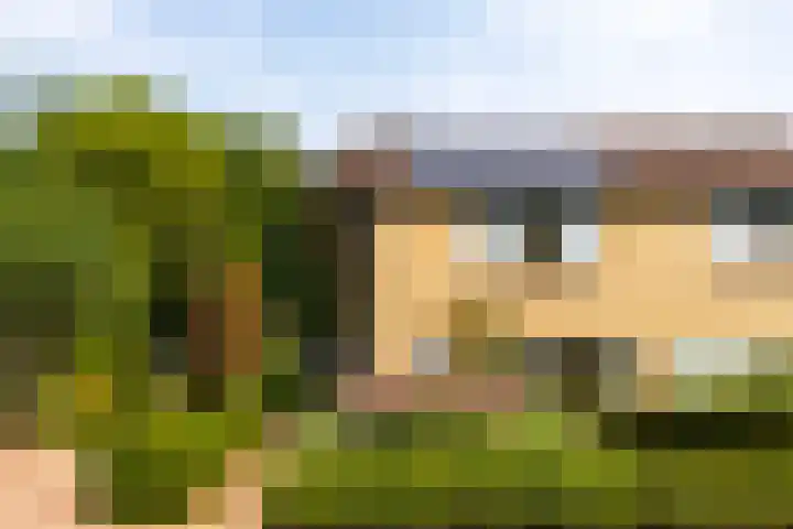 Boesmate 41 Doetinchem thumbnail 5