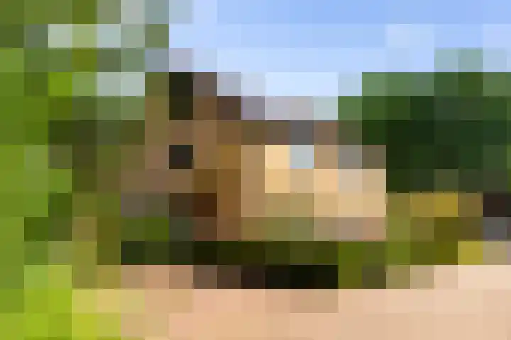Boesmate 41 Doetinchem thumbnail 6