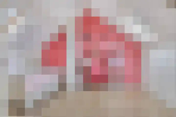 Boestestraat 1 Nistelrode thumbnail 22