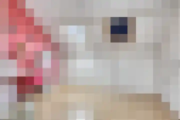 Boestestraat 1 Nistelrode thumbnail 23