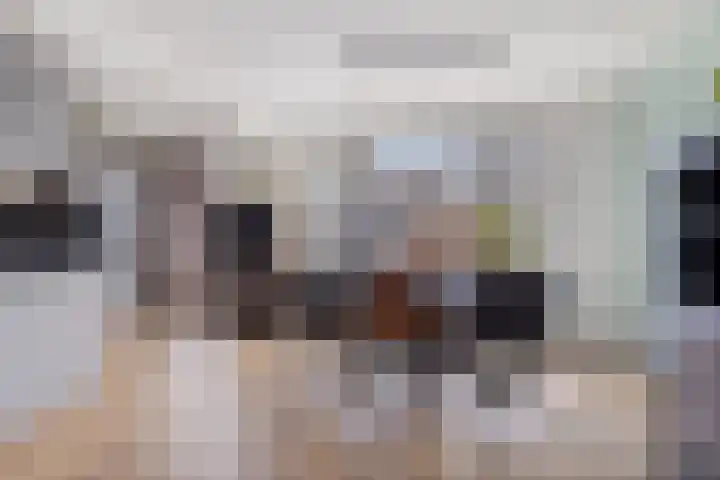 Boestestraat 1 Nistelrode thumbnail 5