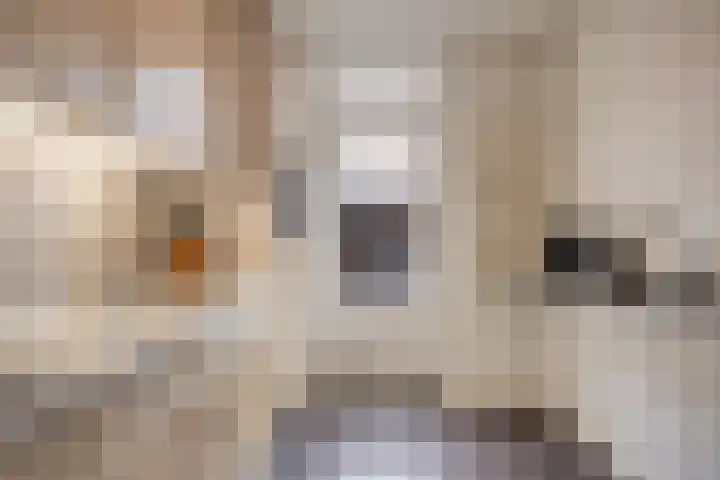 Boestestraat 5 Nistelrode thumbnail 12