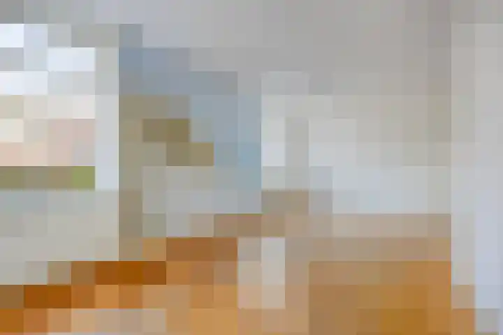 Boesvelderdijk 3 Westendorp thumbnail 10