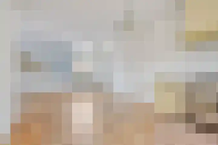 Boesvelderdijk 3 Westendorp thumbnail 12