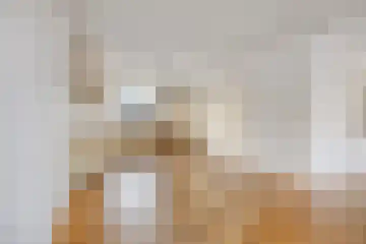 Boesvelderdijk 3 Westendorp thumbnail 13